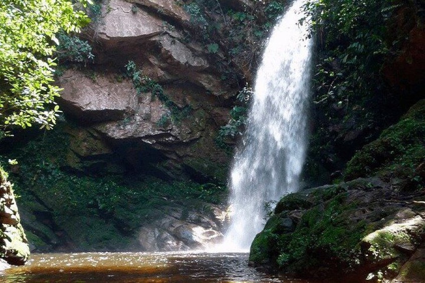 A waterfall cascading down a rocky cliff into a pool of water surrounded by lush greenery. 4