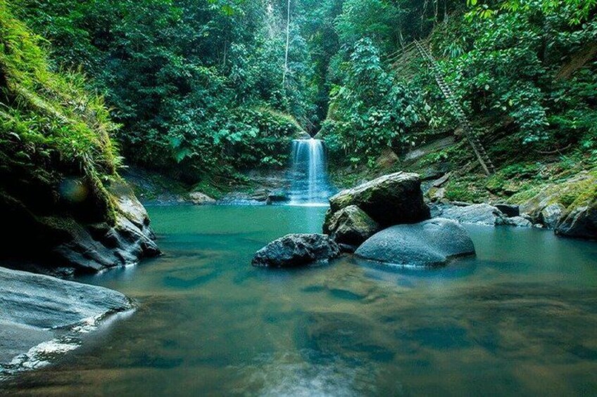 A waterfall in a forested area with rocks and clear water. 1