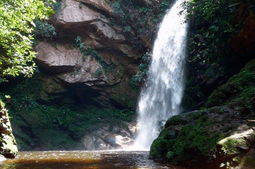A waterfall cascading down a rocky cliff into a pool of water surrounded by lush greenery. 4