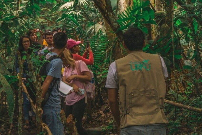 A group of people in a dense forest with various plants and trees. 3
