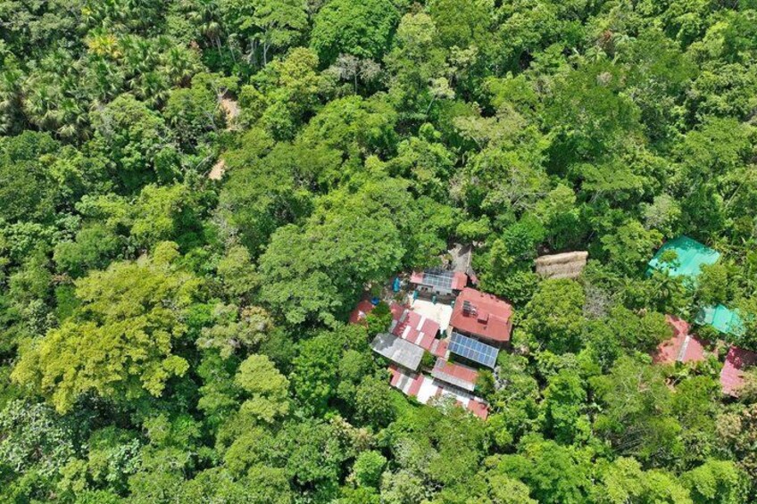 A dense forest with a small cluster of buildings, including a house with solar panels. 2