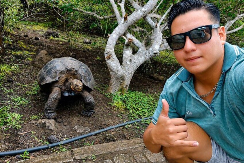 A person with a thumbs-up gesture, a tortoise, and a tree in a natural setting. 1