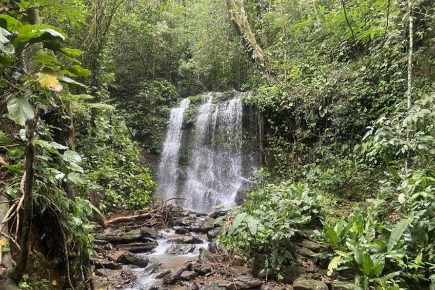 A waterfall surrounded by dense forest. 1