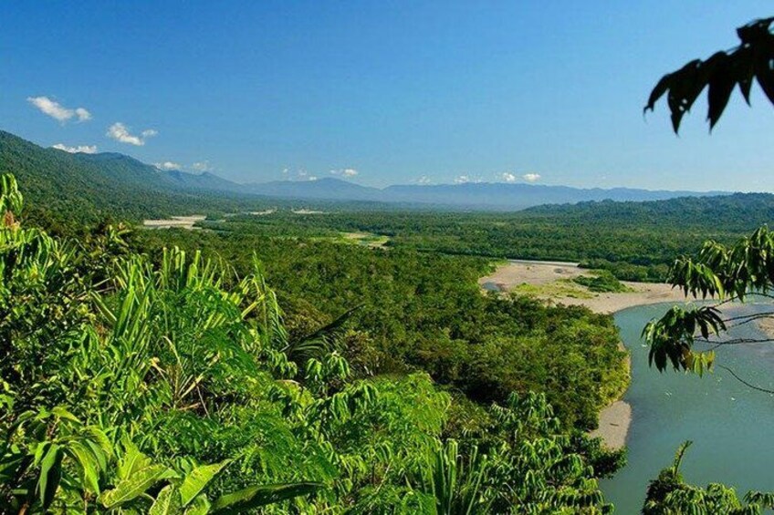 A river winding through a dense forest with mountains in the background. 3