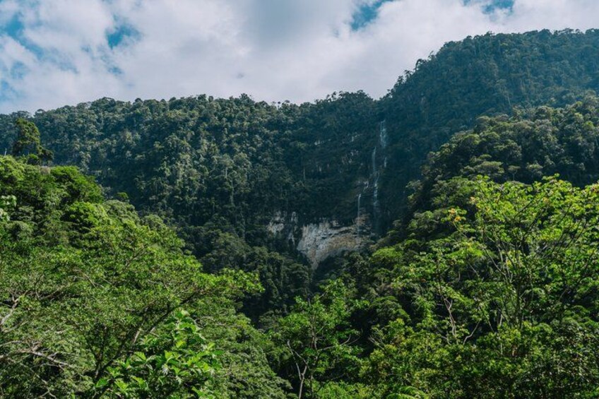 A lush green forest with a waterfall cascading down a cliff. 5