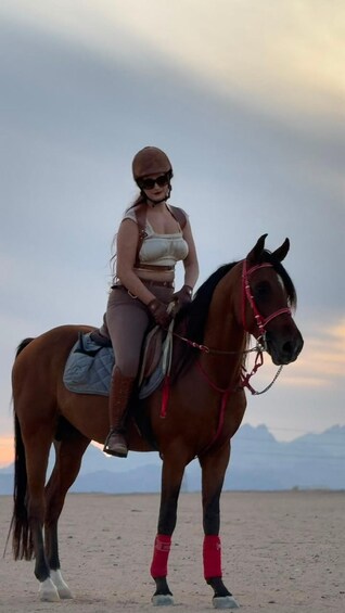En person rider på en hest i et ørkenlandskab med bjerge i baggrunden. 5