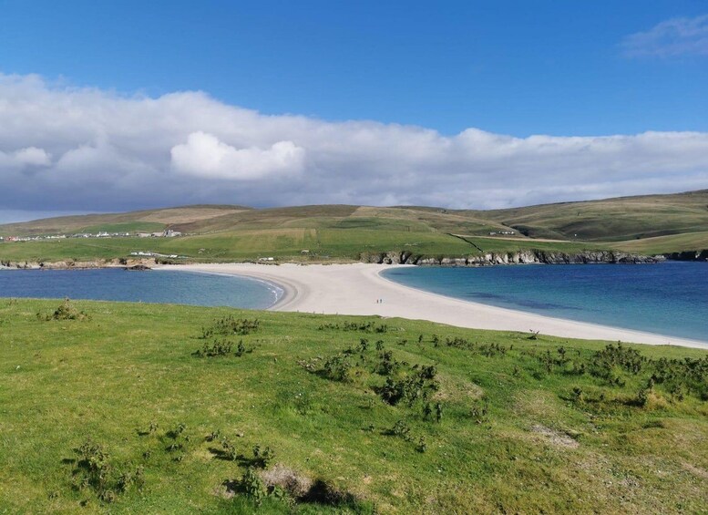 A coastal landscape with a sandy beach, grassy hills, and a clear blue sky. 1