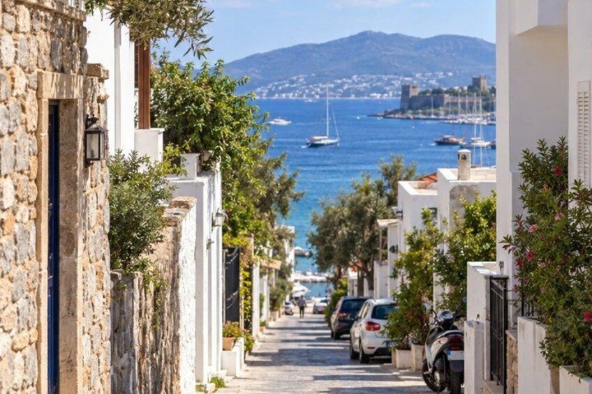 A narrow street with white buildings, parked cars, and a view of the sea with boats. 3