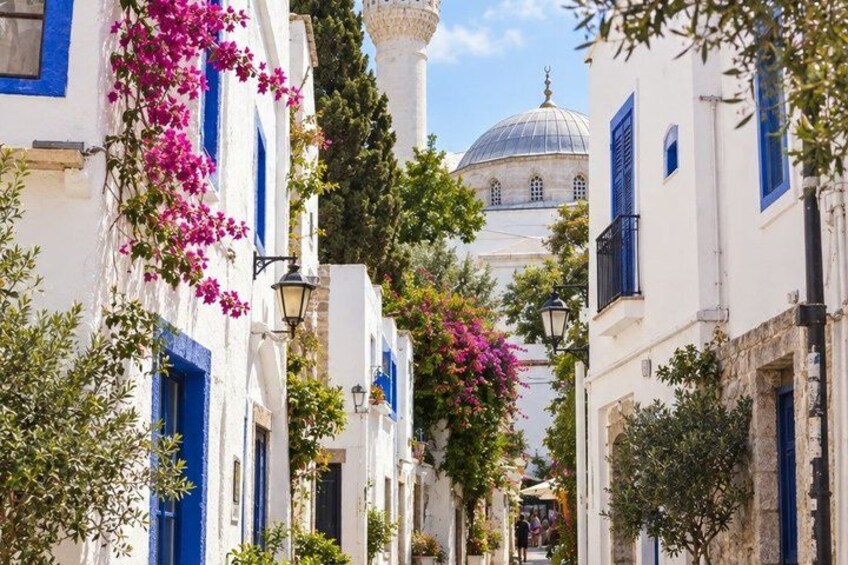A narrow street with white buildings, blue shutters, and pink bougainvillea flowers. 4