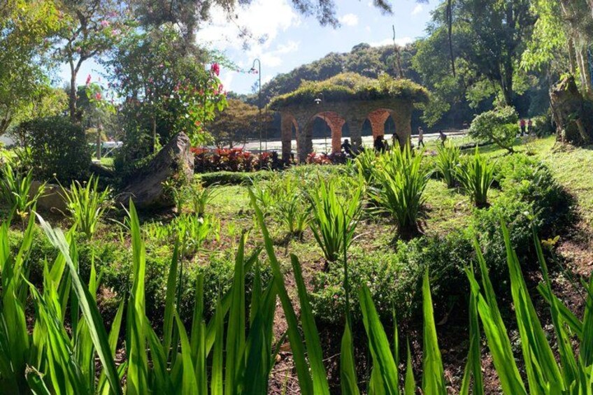 A garden with green plants, a brick structure, and trees in the background. 3