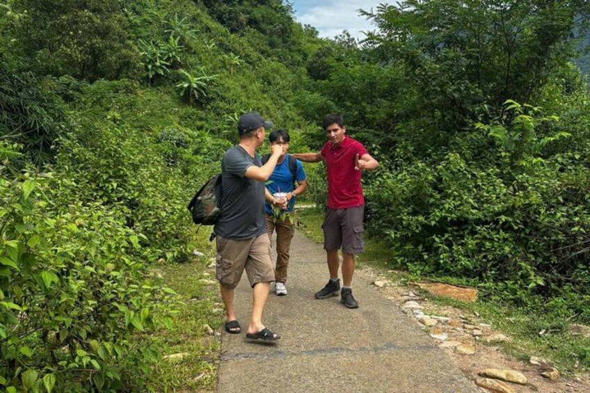 Three people walking on a path surrounded by dense greenery. 4