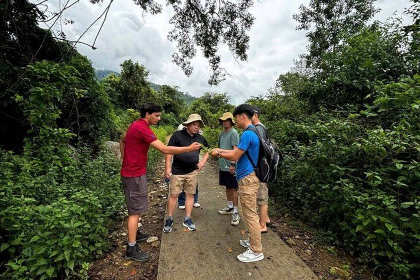 A group of people on a narrow path surrounded by dense greenery. 5