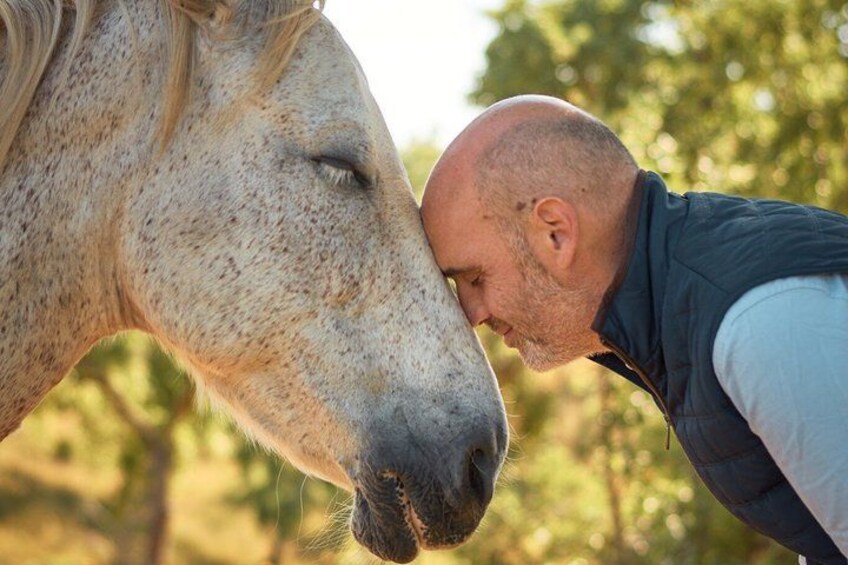 A person in a dark vest and light shirt interacting with a horse. 1
