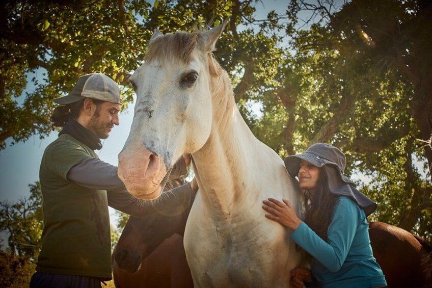 A person petting a horse, another person standing beside the horse, and trees in the background. 4