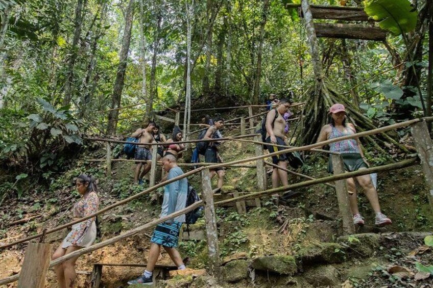 People walking on a wooden bridge in a forest. 3