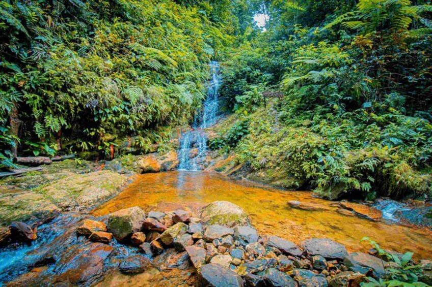 A waterfall in a forested area with rocks and a stream. 4