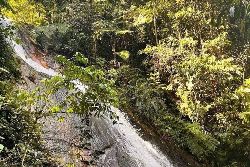 A waterfall in a forested area with dense foliage and a rocky terrain. 2
