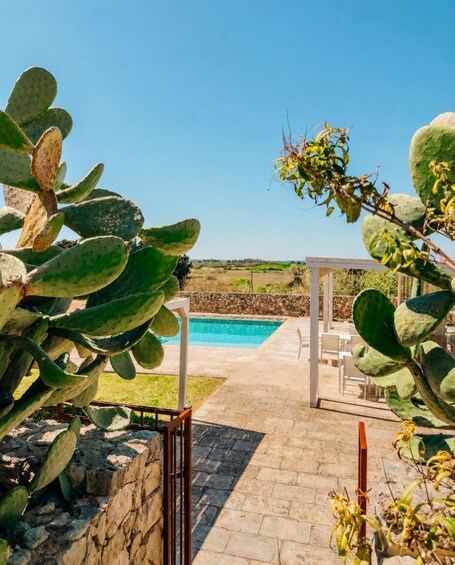 A pool area with a stone wall, a wooden pergola, and large cacti. 3