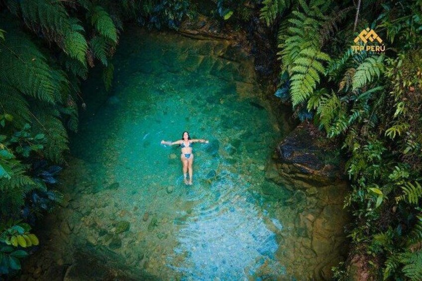 A person floating in a clear water body surrounded by dense green foliage. 1