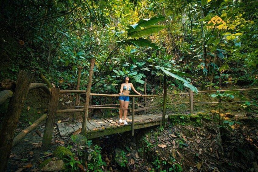 A person standing on a wooden bridge in a forested area. 2