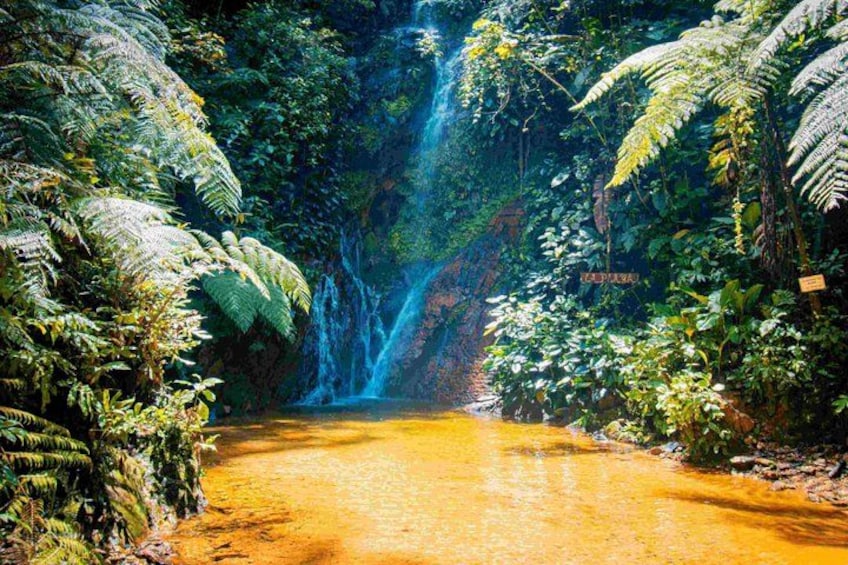 A waterfall in a dense forest with a muddy riverbed. 3
