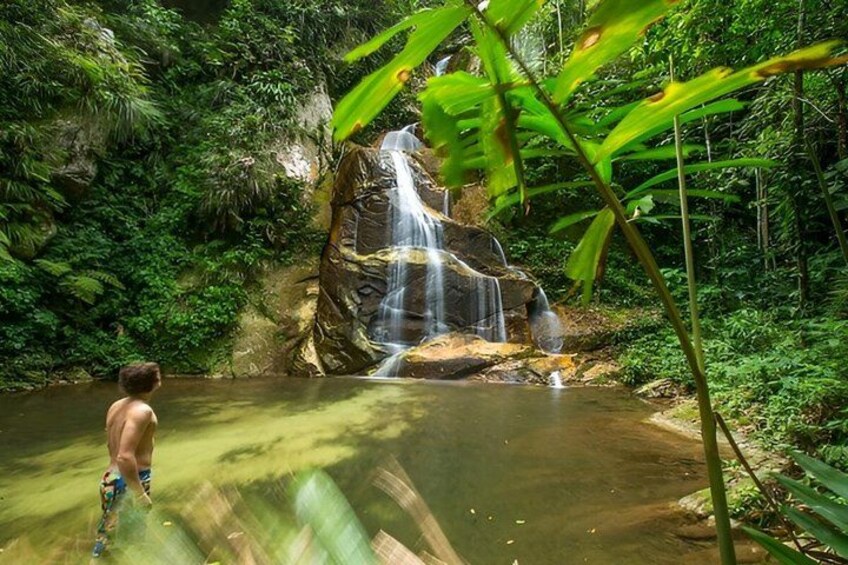 A waterfall in a lush forest with a person standing in the water. 5