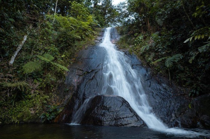 A waterfall cascading down a rocky cliff surrounded by dense forest. 4