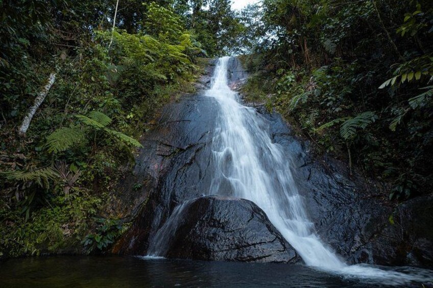 A waterfall cascading over a rocky cliff surrounded by dense forest. 4