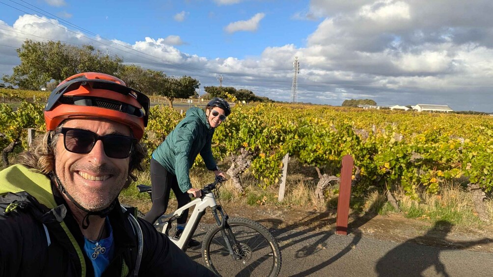 A person on a bicycle in a vineyard with rows of grapevines. 1