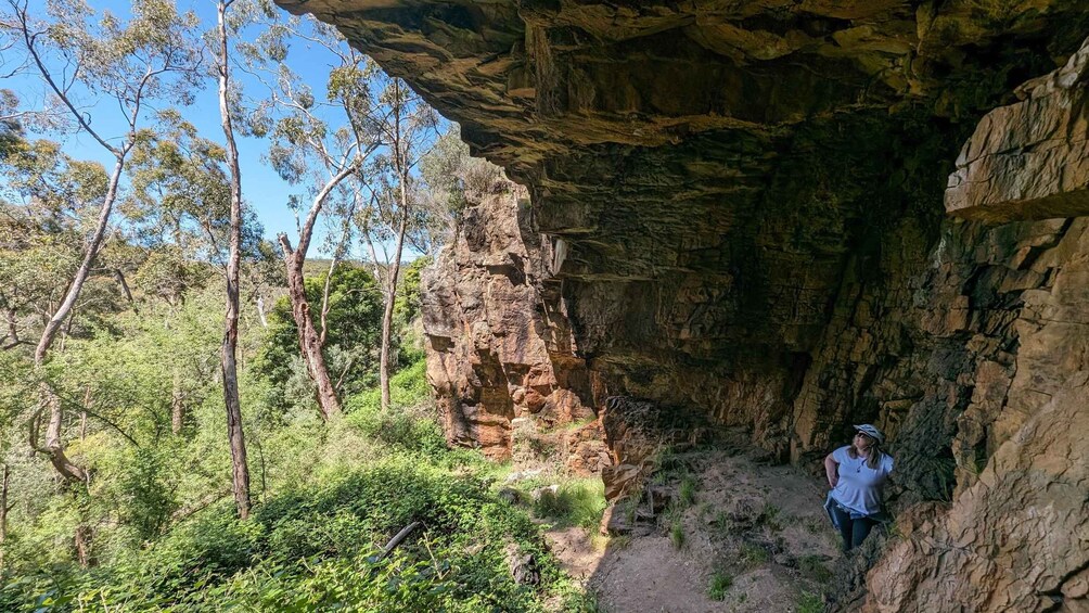 A person hiking through a rocky canyon with trees and greenery around. 4