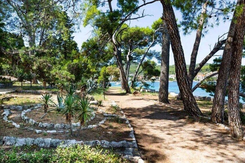 A coastal park with trees, a dirt path, and a view of the sea. 3