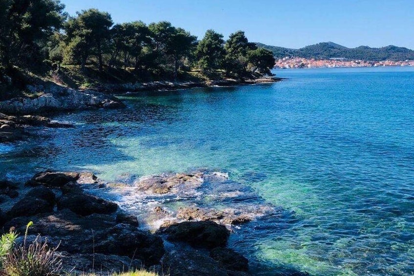 A coastal landscape with clear blue waters, rocky shores, and dense green trees. 2