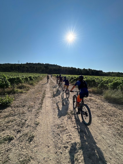 A group of cyclists on a dirt path with a clear sky and sun shining. 1