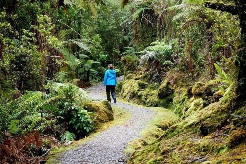 A person walking on a moss-covered path in a forest. 4