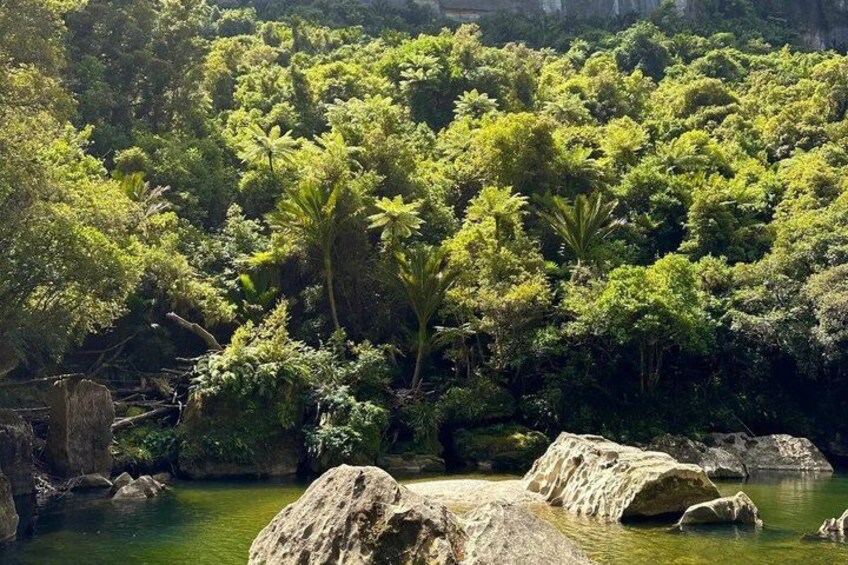 A lush green forest with a calm river and large rocks in the foreground. 5