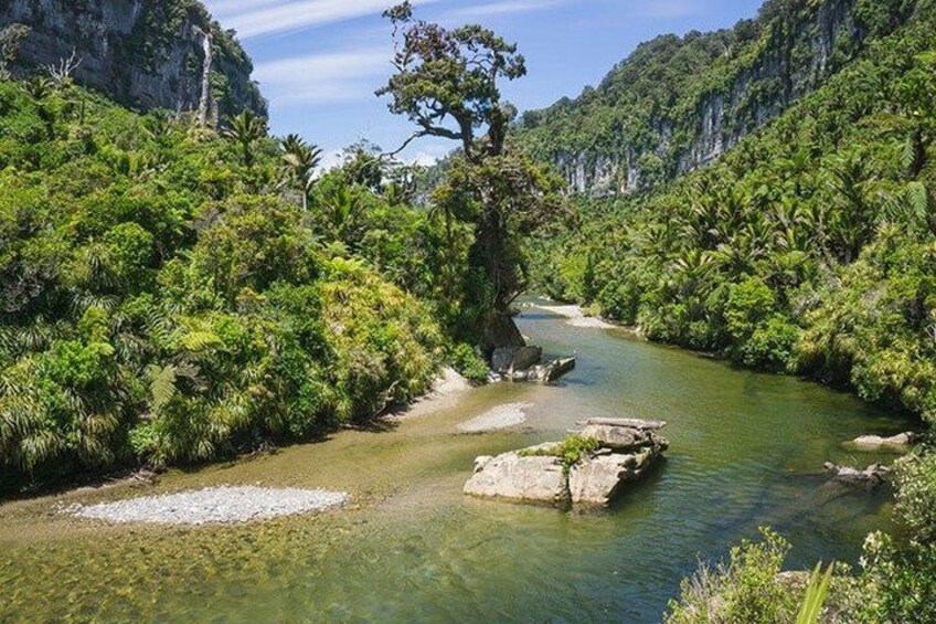 A river flowing through a dense, green forest with rocky outcrops and a prominent tree in the center. 1