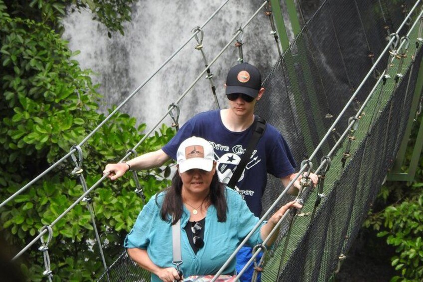A person walking on a suspension bridge with metal cables and netting, surrounded by greenery. 3