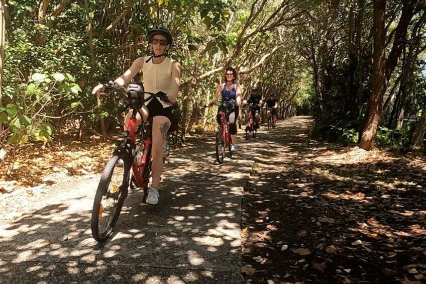 A person riding a bicycle on a leaf-covered path surrounded by trees. 5