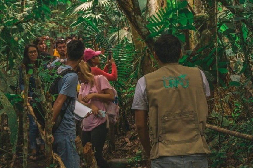 A group of people in a dense forest with various plants and trees. 1