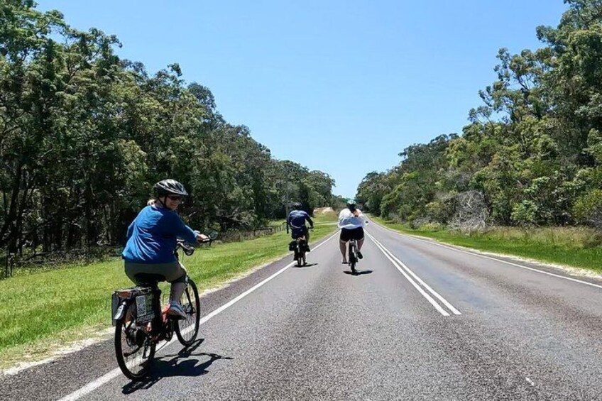 Three cyclists on a paved road with trees on both sides. 1