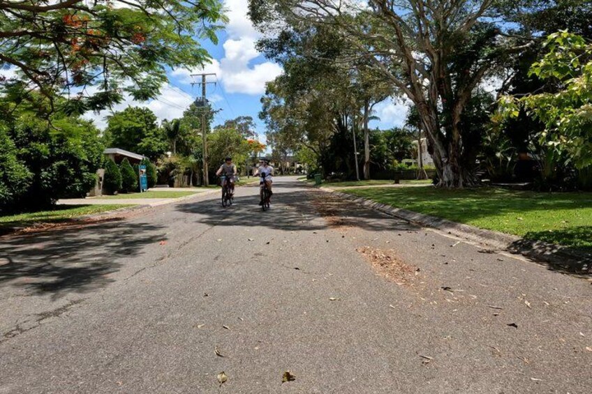A paved road with cyclists, surrounded by trees and greenery. 3