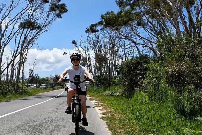 A person riding a bicycle on a road with trees on both sides. 4