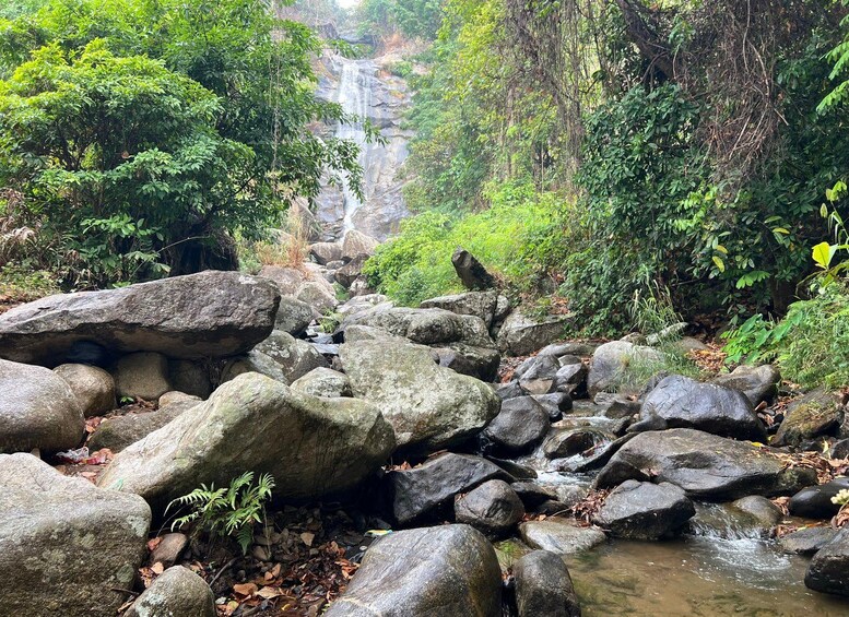 A rocky stream with large boulders, lush greenery, and a waterfall in the background. 5