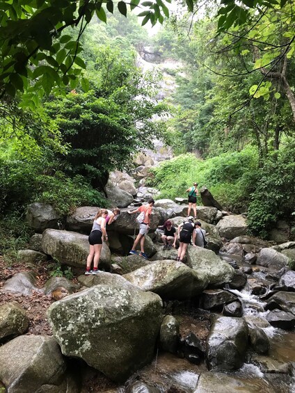A group of people hiking on a rocky trail surrounded by lush greenery. 1