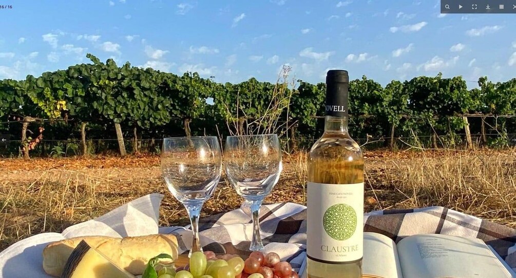 A picnic setup with a bottle of wine, two glasses, a cheese, and grapes on a blanket. 5