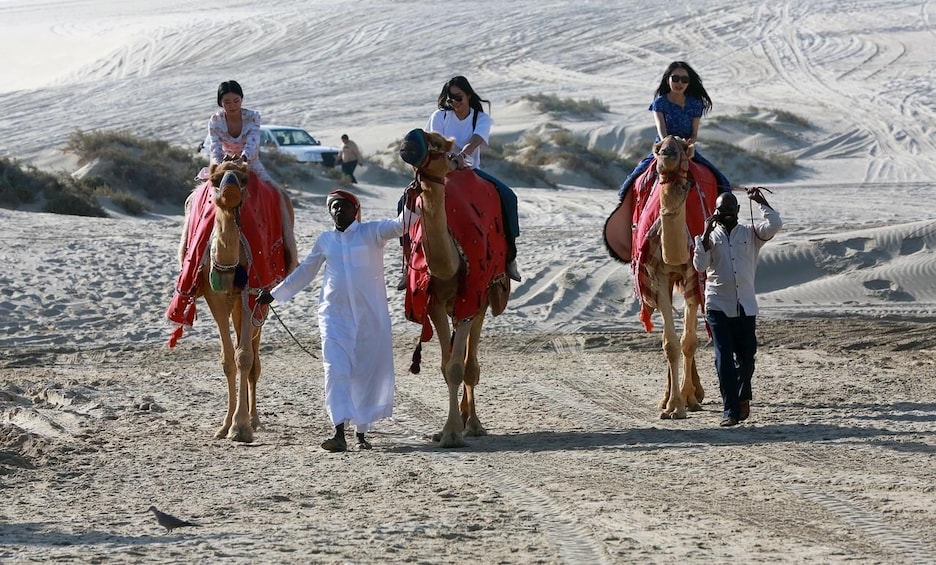Persone a dorso di cammelli in un deserto tra dune di sabbia. 5