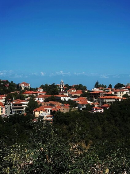 Un villaggio collinare con case dai tetti rossi e una chiesa ben visibile con un campanile. 5