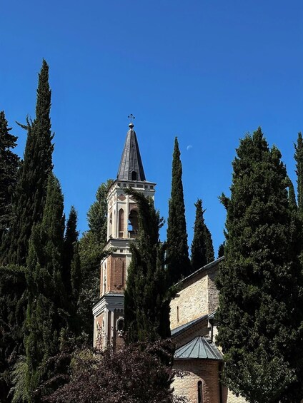 Una chiesa con un campanile slanciato e una guglia, circondata da alberi alti. 1