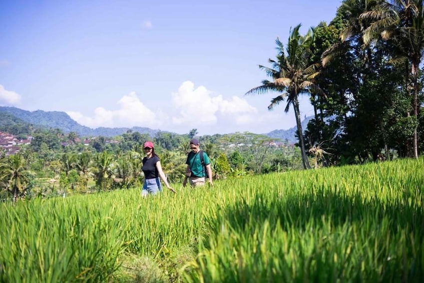 Picture 5 for Activity Sidemen: Countryside Scooter Tour through Rice Terraces 2