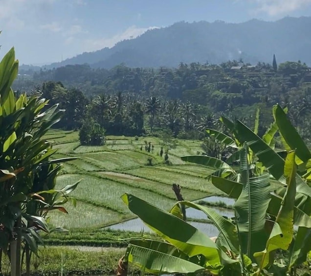 Picture 4 for Activity Sidemen: Countryside Scooter Tour through Rice Terraces 5